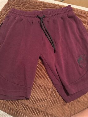 Alphalete Men's Maroon Athletic Shorts with Drawstring